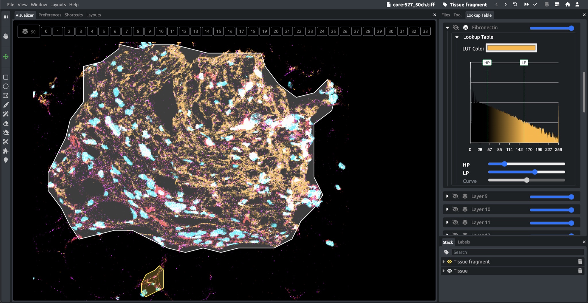 The DataTorch annotator showing a 50-channel scientific image: three channels composited in cyan, amber and magenta, an annotated region outlined on the canvas, and the lookup-table panel open with a per-channel histogram and highpass/lowpass controls.