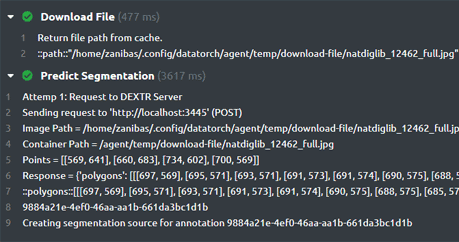 Output from a console showing a DataTorch action's results.